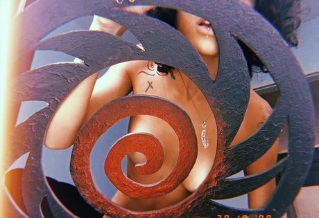 Caxinhox 美しいスター 写真