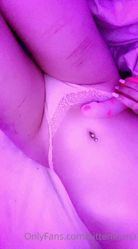 kittenkuma かわいいスター 写真