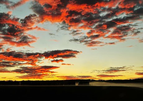 nicebassblondie ポルノスター パーフェクト ギャラリー