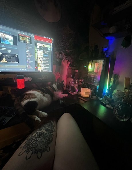 Kitty Titty 完璧な女優 写真