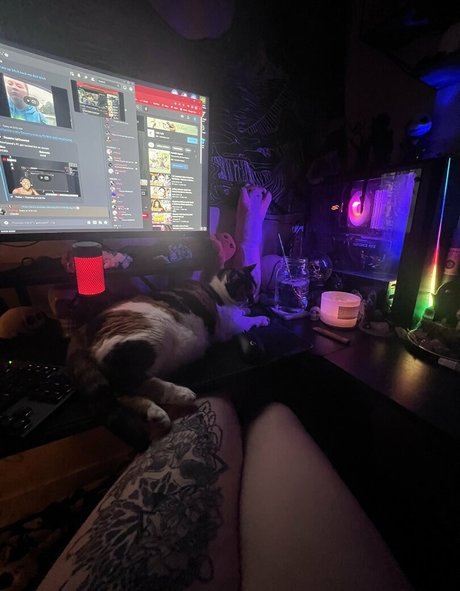 Kitty Titty スター 裸 写真