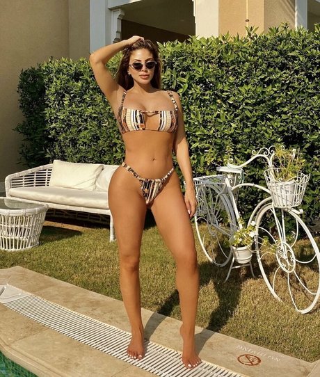 larsapippen HDモデル 画像