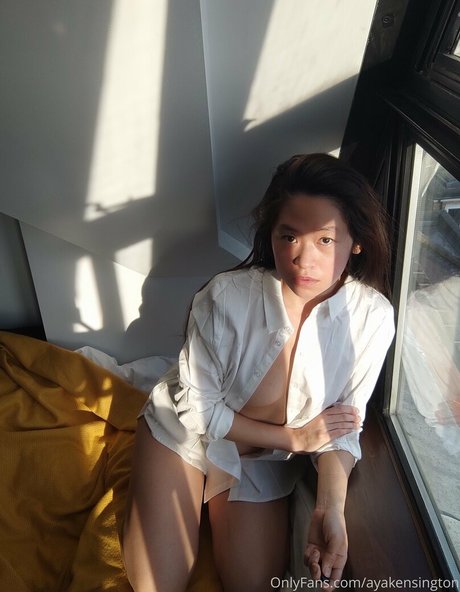 ayakensington HDモデル 写真