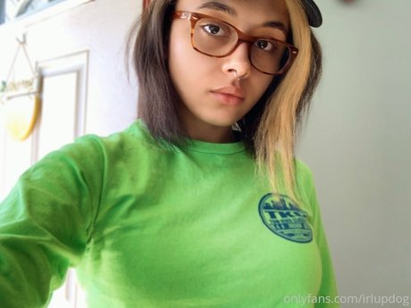 Irlupdog modèle gratuit archive