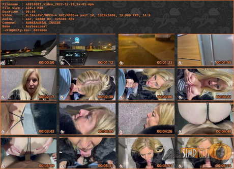 Aurbeaureal étoile de l'art archive