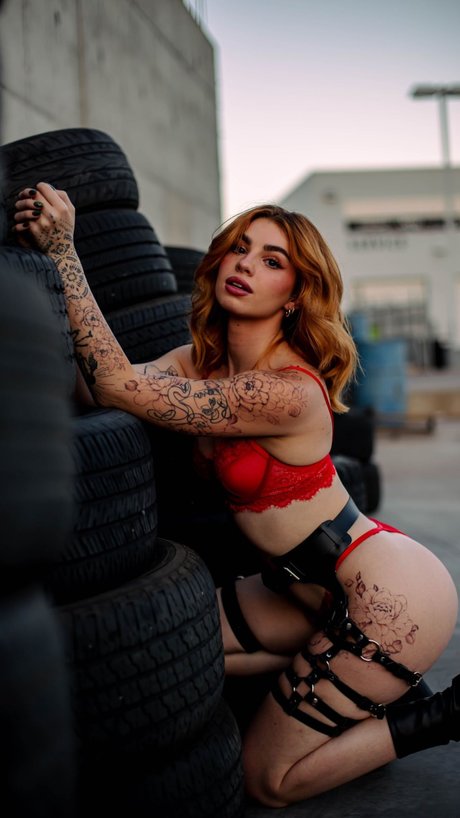 Lems7 modèle de haute qualité collection