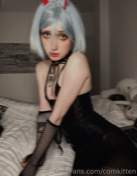 cornkitten modèle de haute qualité img