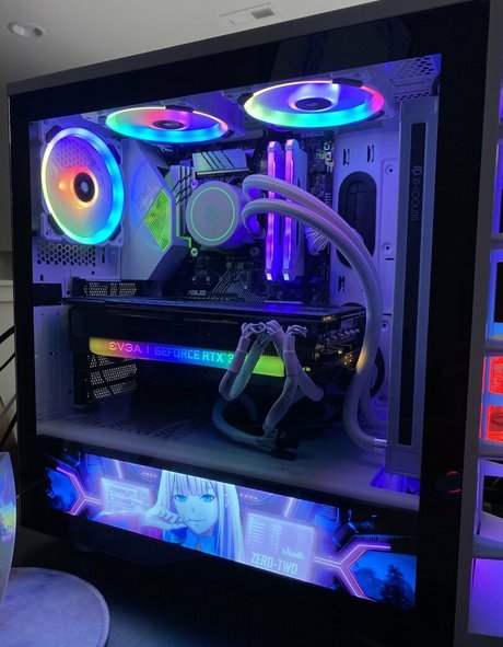 kitten kyra sexe star des photos