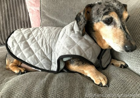 Sophia Knight star du porno exclusive galeries