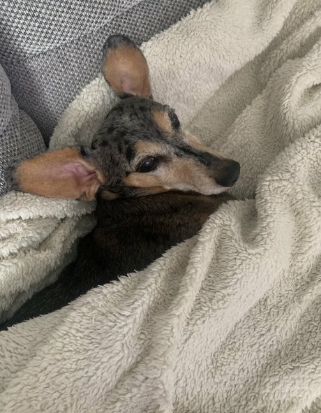 Sophia Knight modèle nu des photos