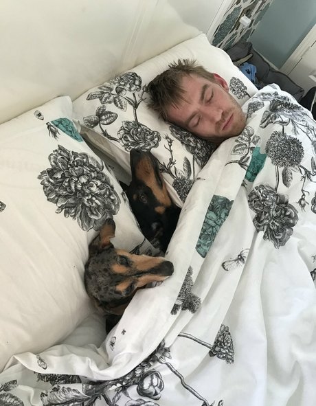 Sophia Knight actrice parfaite collection