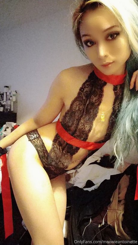 Meowieantoinette étoile de l'art collection