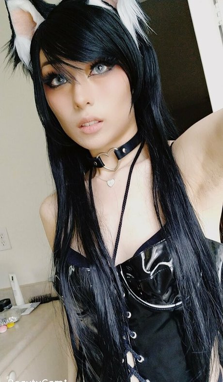 fans de chatte blanche uniquement adulte de haute qualité images