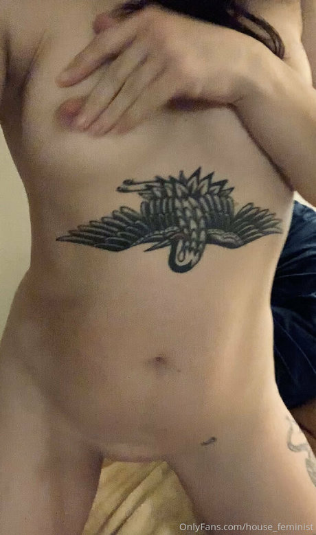 house feminist étoile gratuite des photos