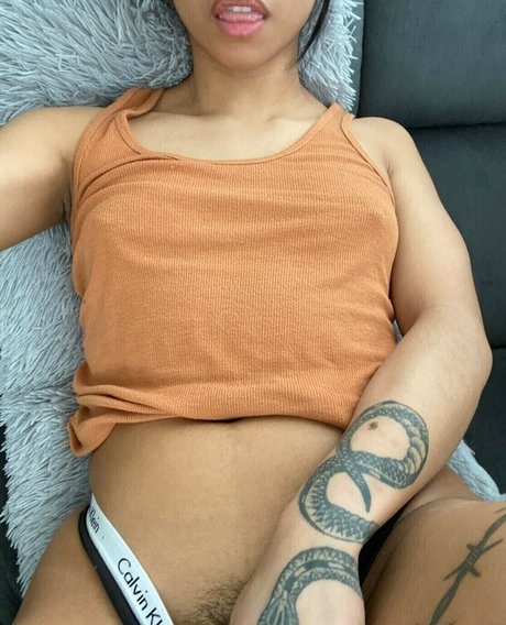 chaton courbé onlyfans chaud meilleur photo