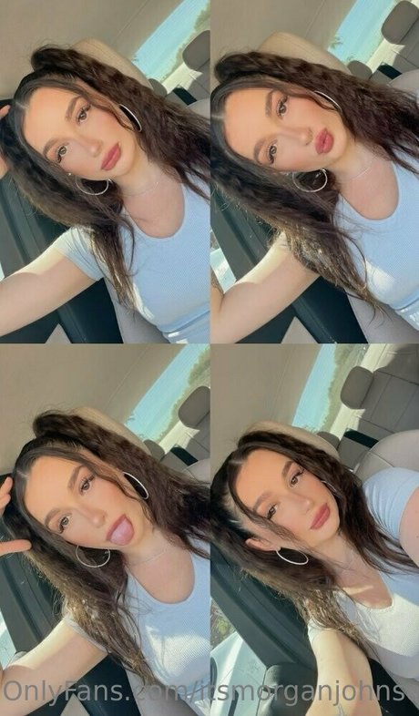 morgie jo modèle de haute qualité photos