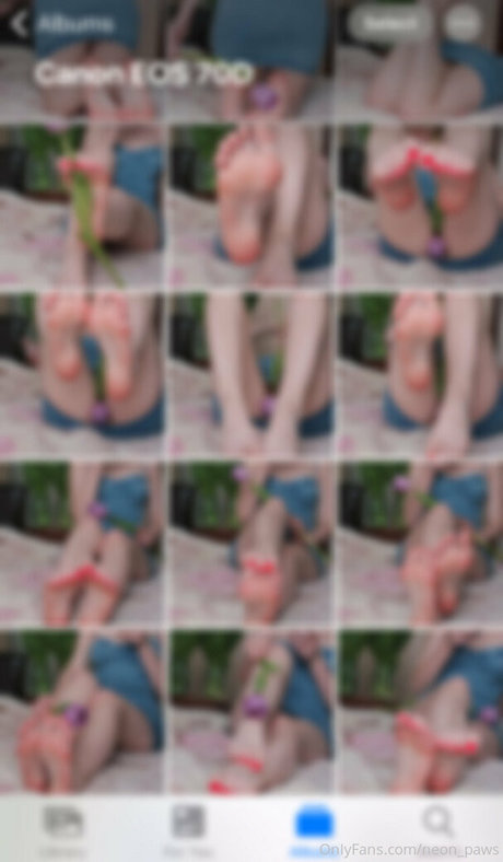 anciens fans uniquement haut de gamme image