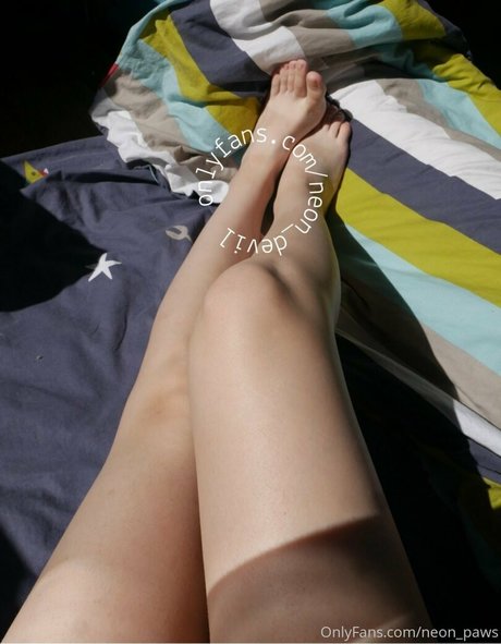 neon paws modèle meilleur galeries