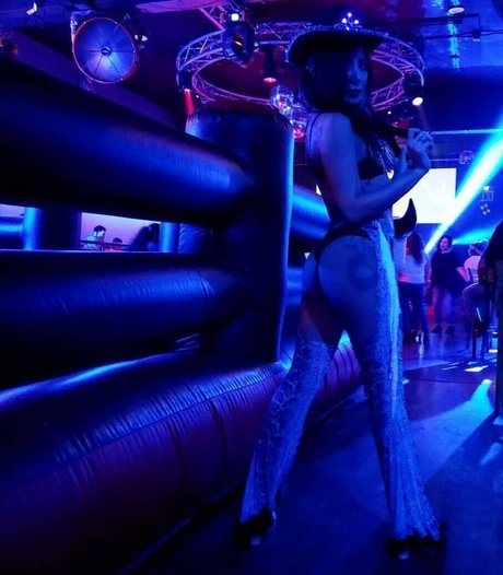 Thc siren art de star du porno collection