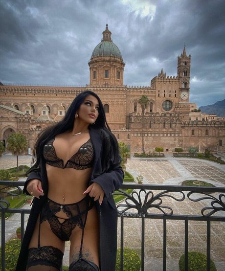 Catvondia sexe star photos