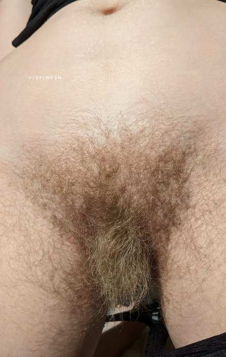 efiwfsn modèle joli galeries