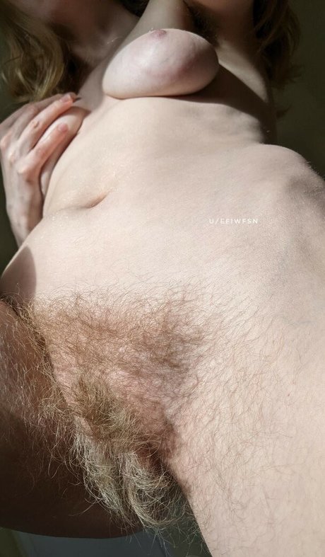 efiwfsn étoile de haute qualité galeries