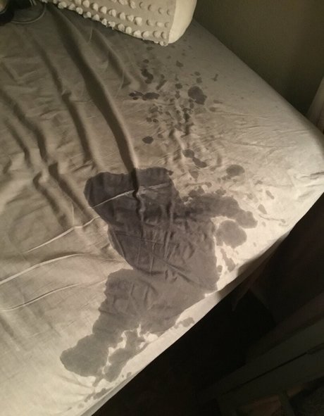 leathernlace393 meilleur modèle img