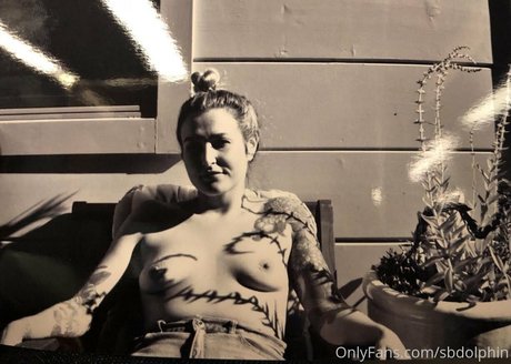 sbdolphin étoile xxx collection