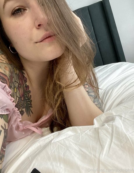 sbdolphin jolie étoile image