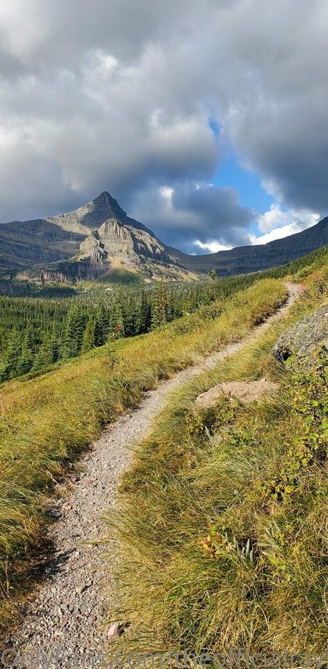 fans trans noirs uniquement bien chaud des photos