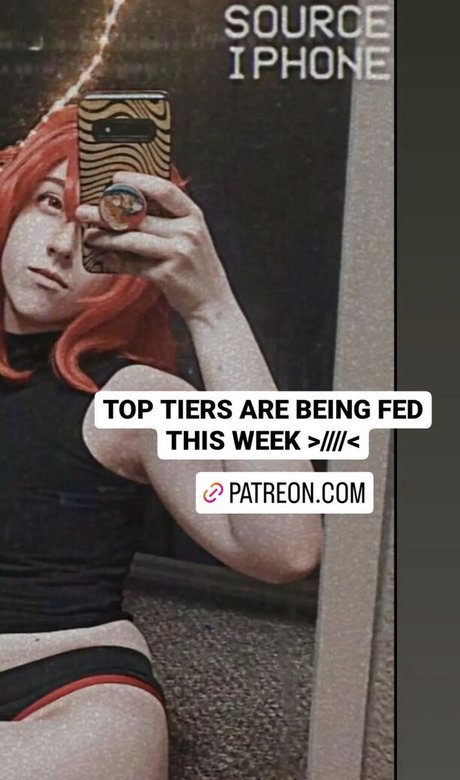 Porkcutlett modèle gratuit img