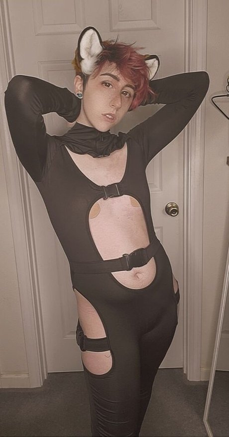 Porkcutlett art star du porno image