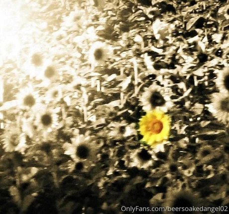 couple de fans uniquement assez exclusif galerie