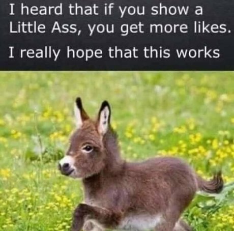 beersoakedangel02 Profilfoto