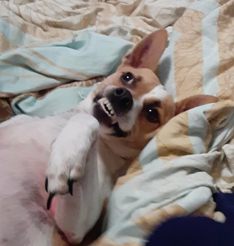 beersoakedangel02 modèle exclusif photos