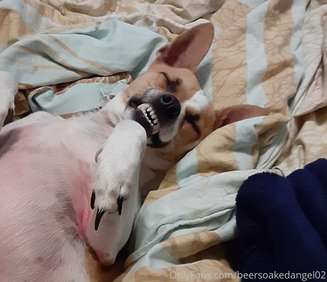 massage lesbien onlyfans sexe xxx img