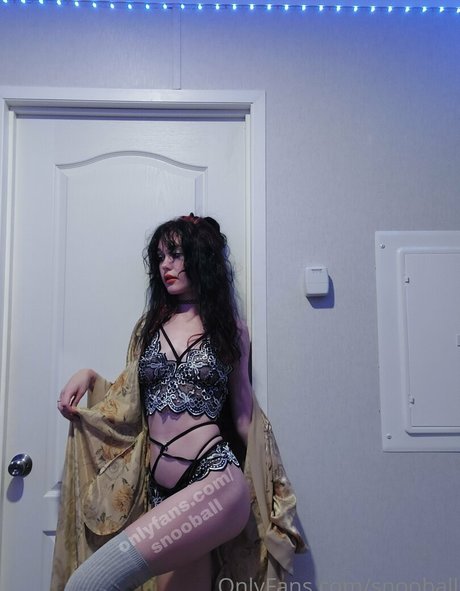 snooball étoile adulte images