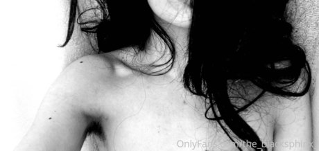 The blacksphinx modèle gratuit image