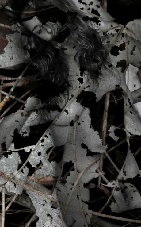 Rae Johnston star du porno nue galerie