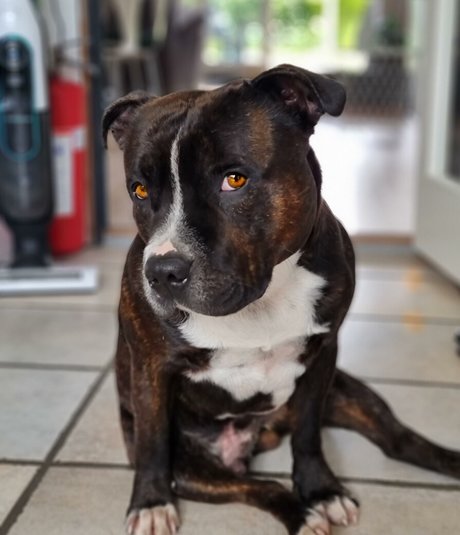 Christina Goldielocks star érotique archive