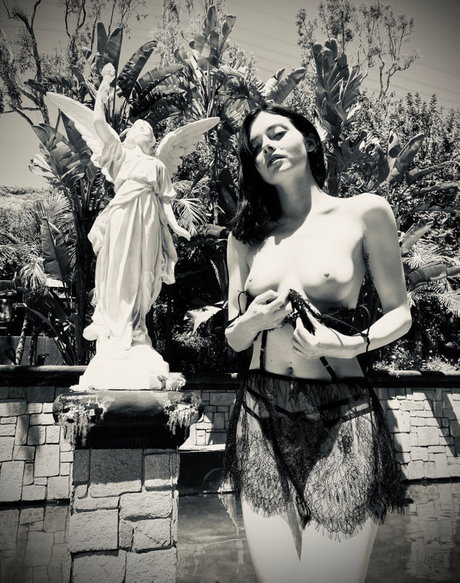 ohthumbelina étoile magnifique galeries