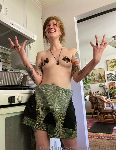 Decrepit plant étoile hd galeries