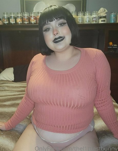 thel1ttlestbunny haut modèle collection