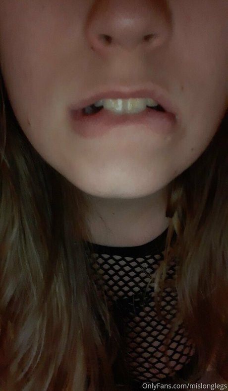 mislonglegs étoile de haute qualité des photos