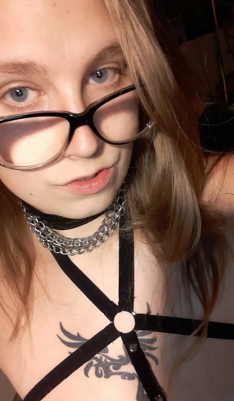 mislonglegs modèle de haute qualité img