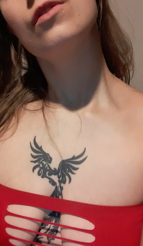 mislonglegs sexe de star du porno images