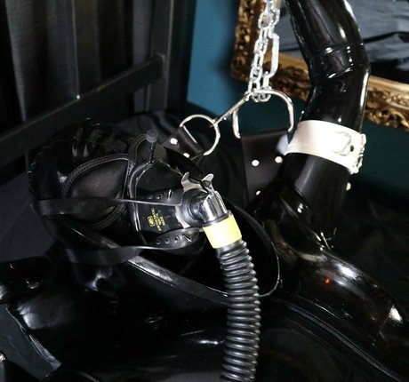 dollified jolie star du porno image