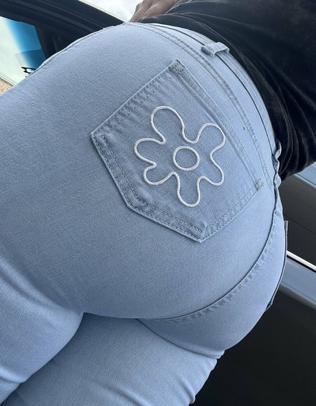 Bribeibi étoile de haute qualité img