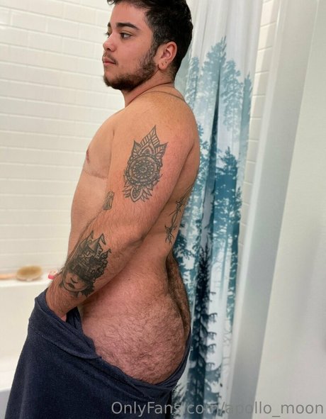 apollo moon art modèle image