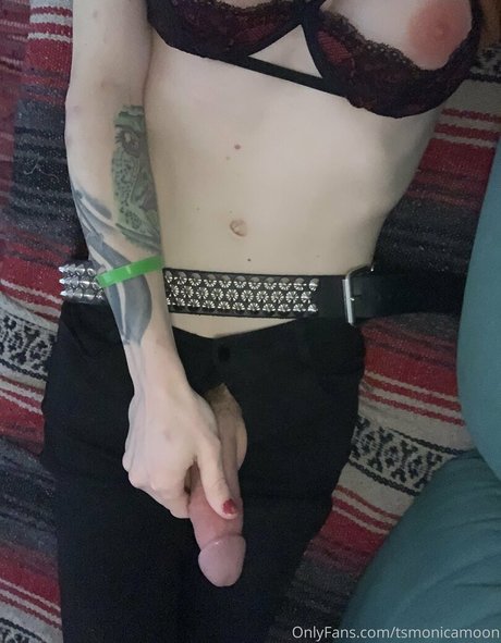 tsmonicamoon étoile magnifique photo